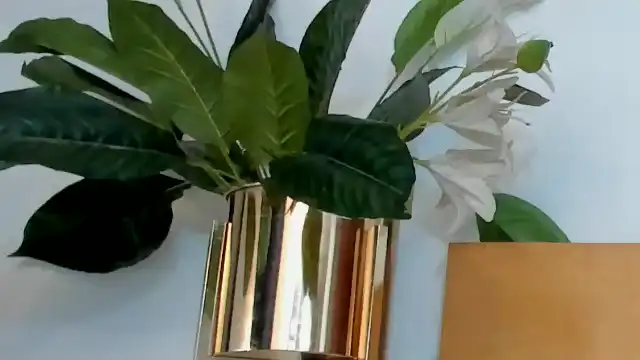 Lucia-saanvi – Flirt4free Live Sex Cam Recording – 2026-05-07 09:49:24