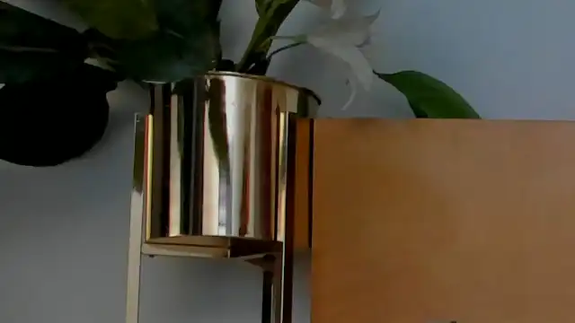 Lucia-saanvi – Flirt4free Live Sex Cam Recording – 2026-03-12 20:53:36