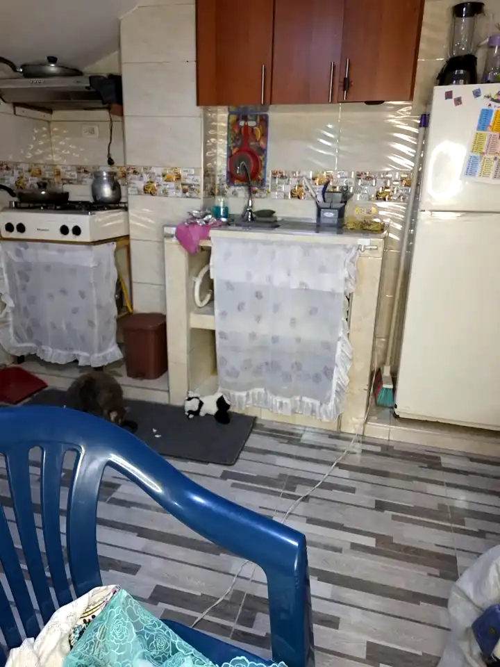 Selket11 – Stripchat Live Sex Cam Recording – 2025-02-02 19:04:45
