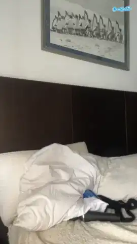 G-naommiscott – Camsoda Live Sex Cam Recording – 2026-04-12 03:52:25