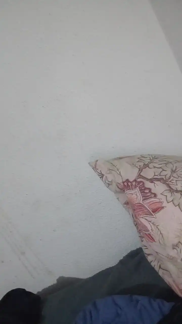 Shawtyfivestar – Cam4 Live Sex Cam Recording – 2025-07-14 09:43:42