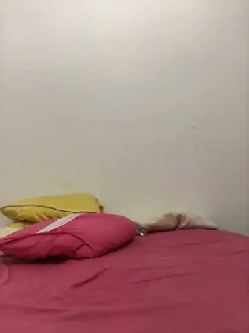 Lollitta-33677 – Stripchat Live Sex Cam Recording – 2025-11-27 01:29:47